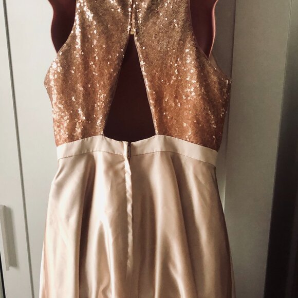 Christina Wu Celebration Formal Dress Size 10 | Sequin Top Satin Skirt Blush Gow - Picture 6 of 9